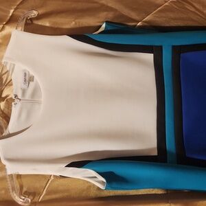 Calvin Klein 16W colorblock sheath dress